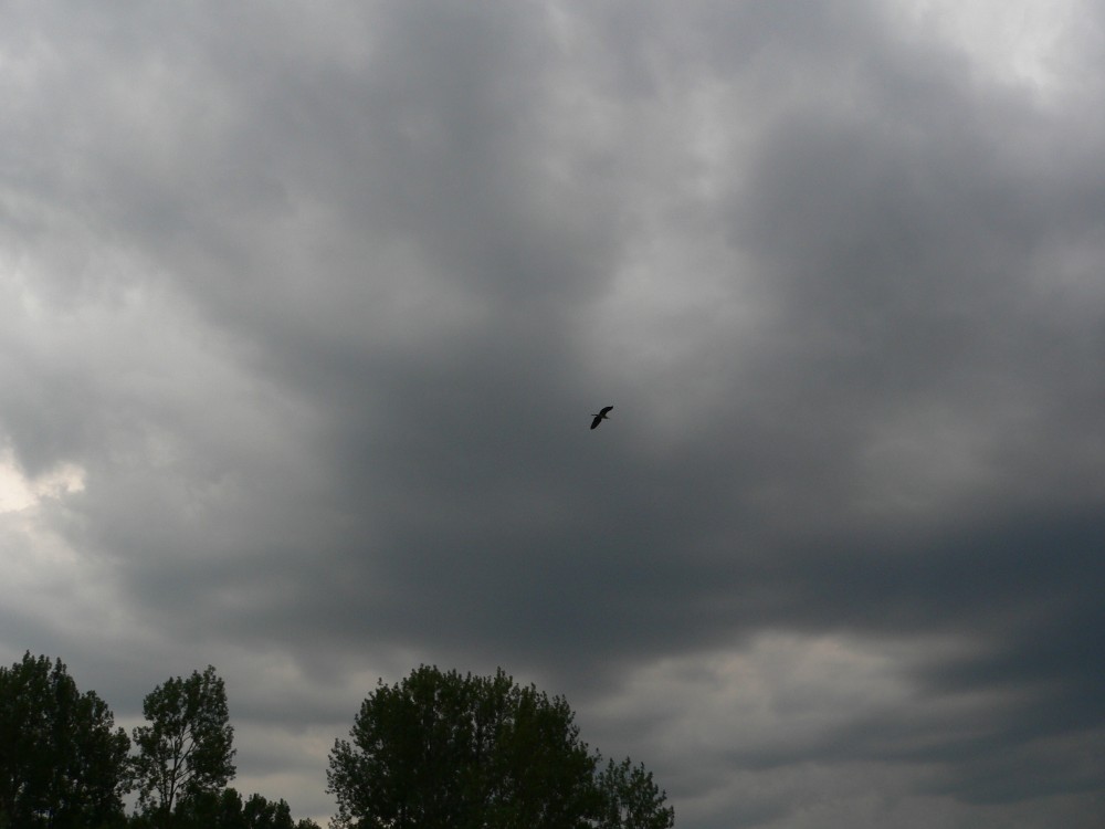 DeBourbon_2014-05-20 19-20-55.jpg