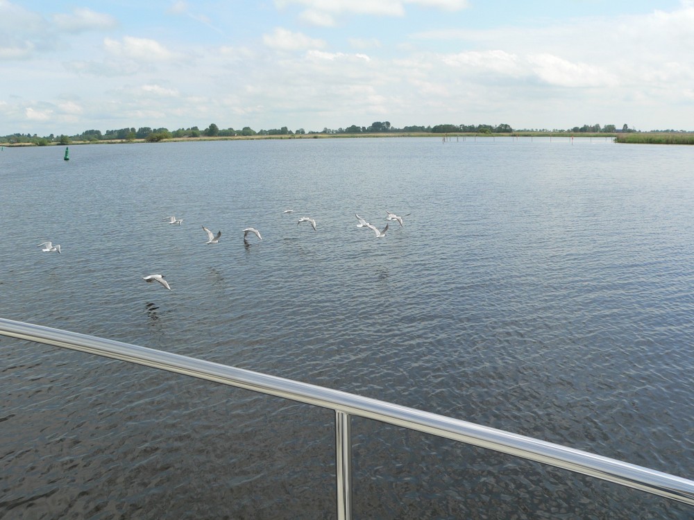 DeBourbon_2014-05-21 11-41-35.jpg