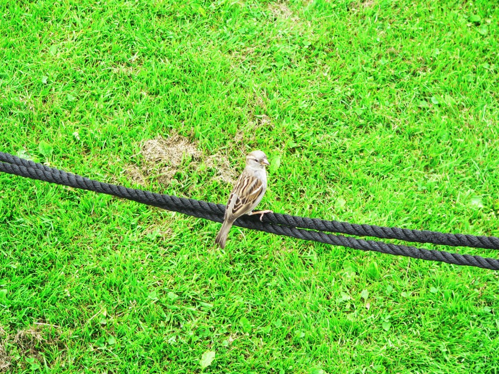 DeBourbon_2014-05-21 14-17-24.jpg