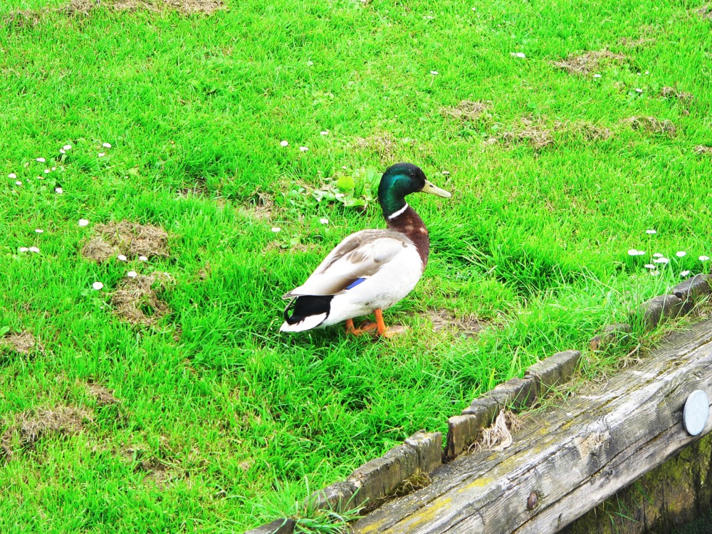 DeBourbon_2014-05-21 15-20-07.jpg