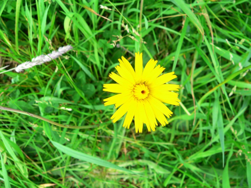 DeBourbon_2014-05-22 13-36-10.jpg