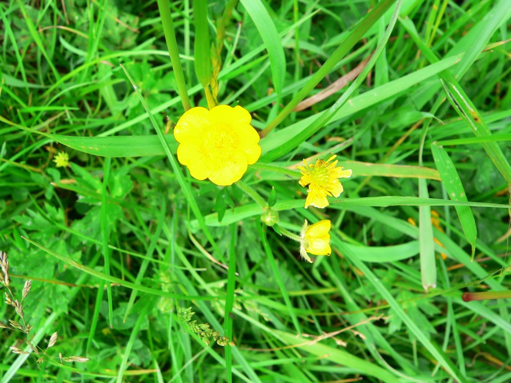 DeBourbon_2014-05-22 13-36-19.jpg