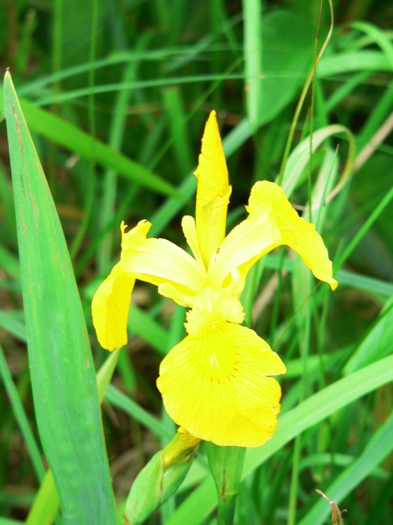 DeBourbon_2014-05-22 13-38-35.jpg