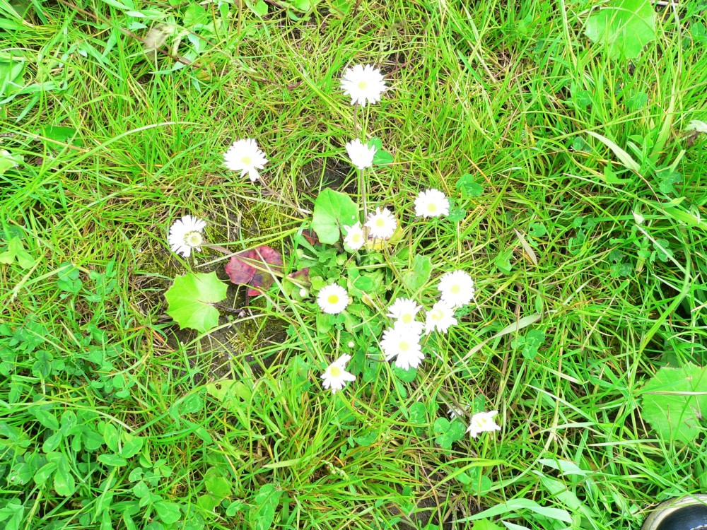 DeBourbon_2014-05-22 14-03-56.jpg