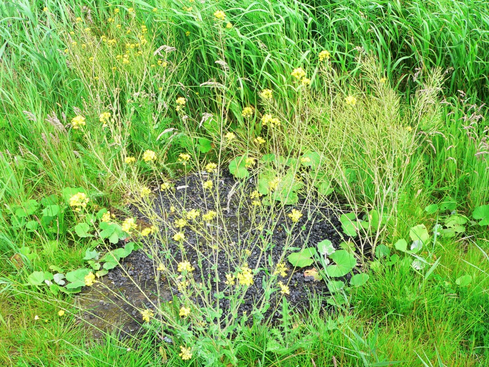 DeBourbon_2014-05-22 14-04-12.jpg