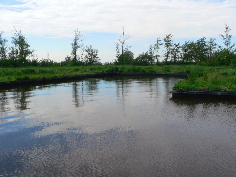 DeBourbon_2014-05-22 14-05-07.jpg