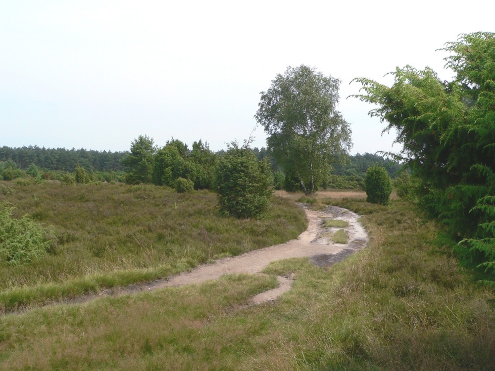 Amelinghausen16_2016-07-22 12-05-36.jpg