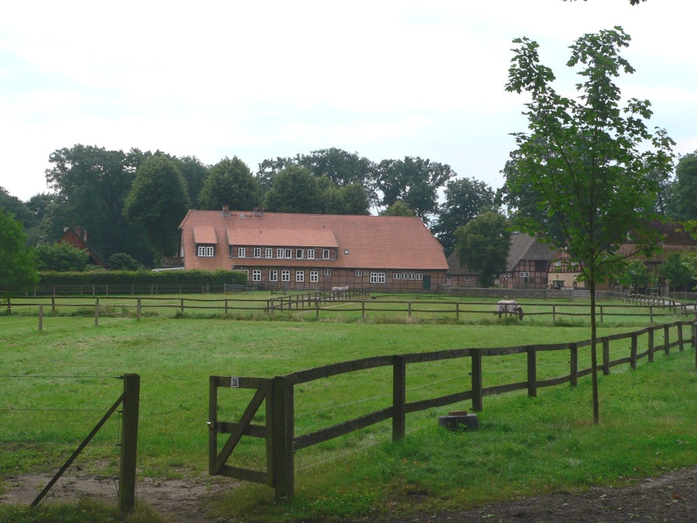 Amelinghausen16_2016-07-22 12-43-54.jpg
