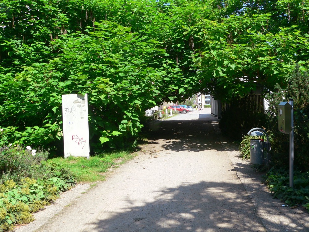 Amelinghausen16_2016-07-24 11-55-45.jpg