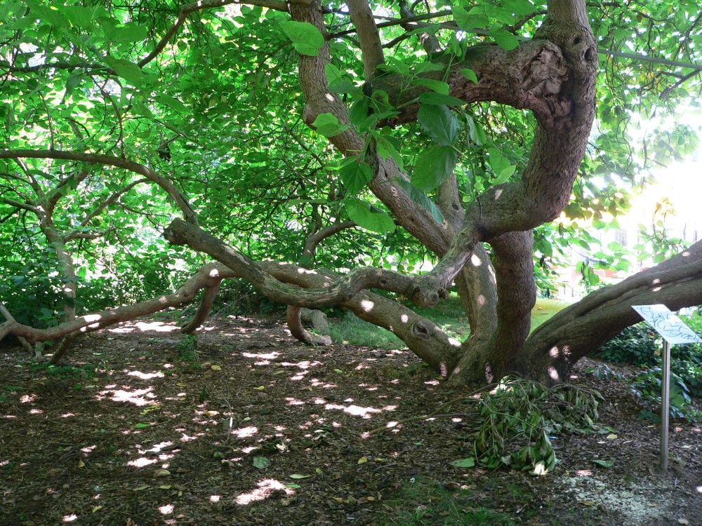 Amelinghausen16_2016-07-24 11-56-09.jpg