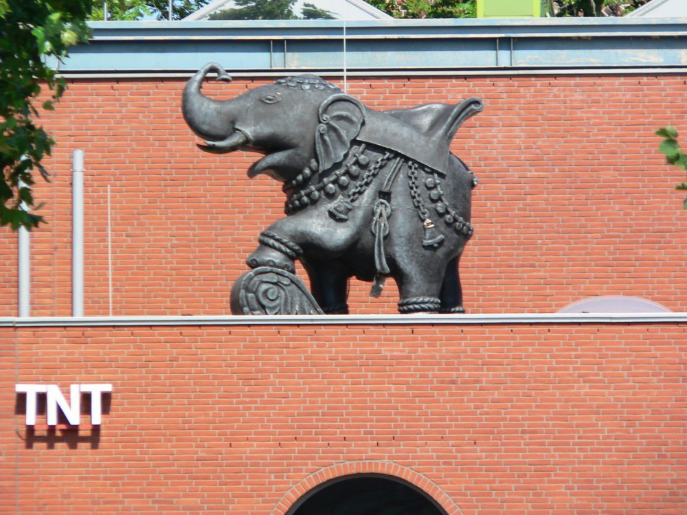 Amelinghausen16_2016-07-24 12-06-09.jpg