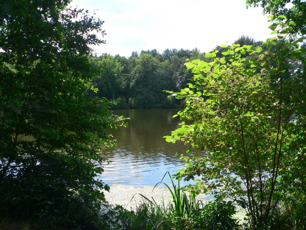 Amelinghausen16_2016-07-26 14-30-01.jpg