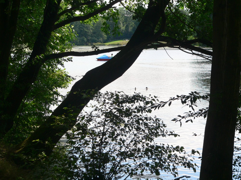 Amelinghausen16_2016-07-26 14-30-17.jpg