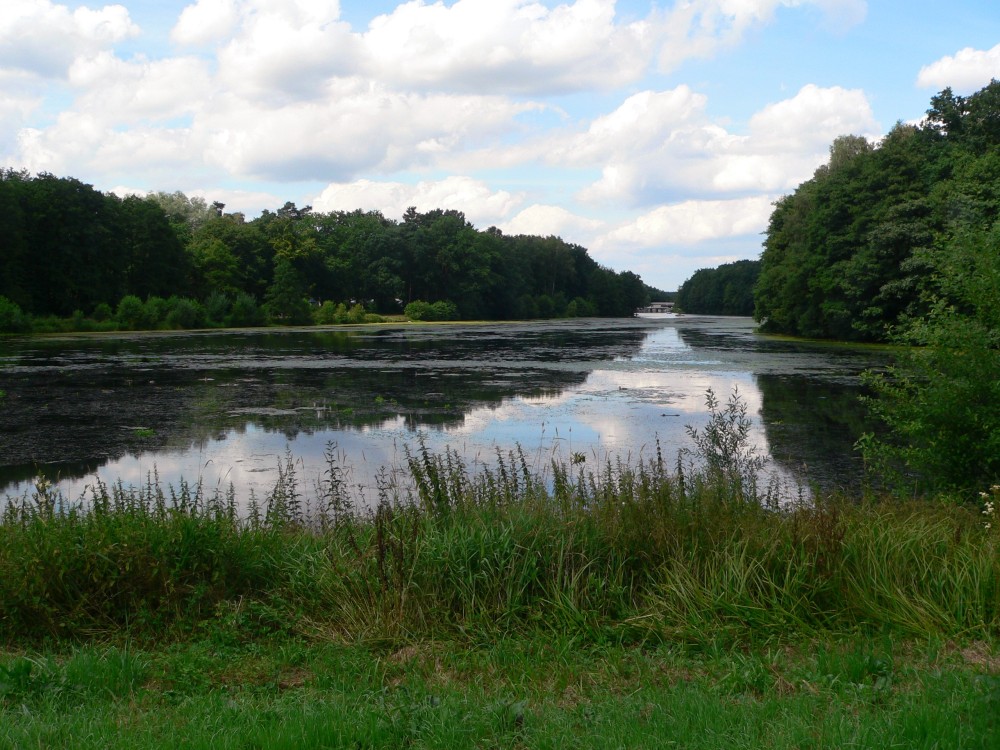 Amelinghausen16_2016-07-26 14-40-13.jpg