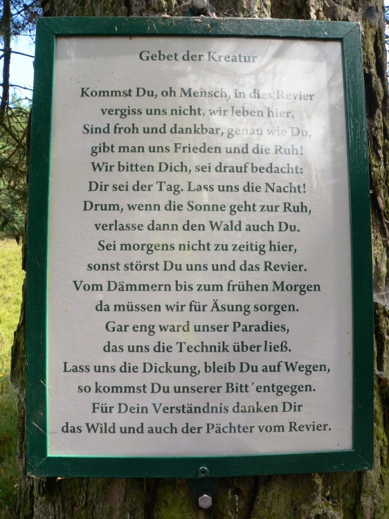 Amelinghausen16_2016-07-26 15-21-05.jpg