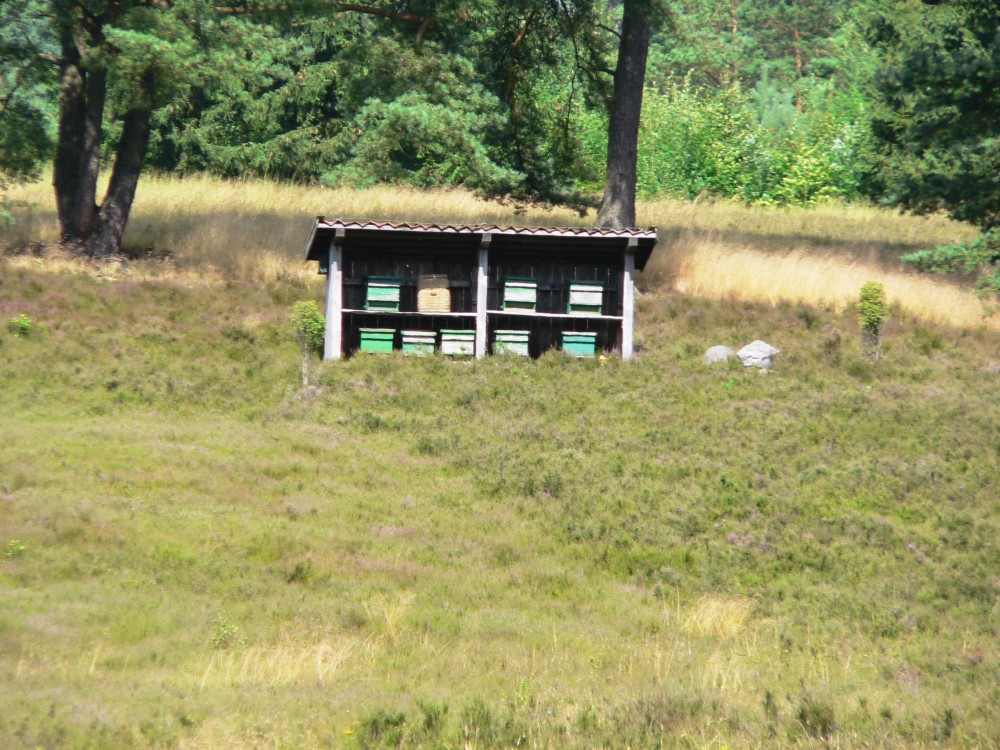 Amelinghausen16_2016-07-26 15-21-50.jpg