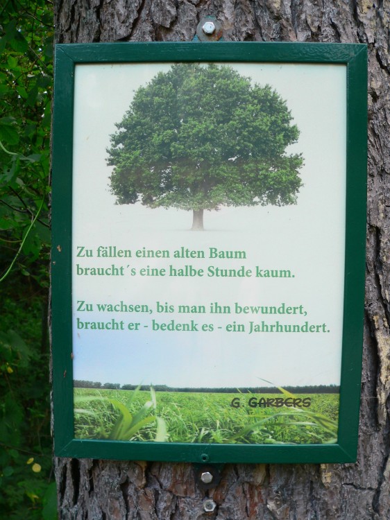 Amelinghausen16_2016-07-26 15-31-58.jpg