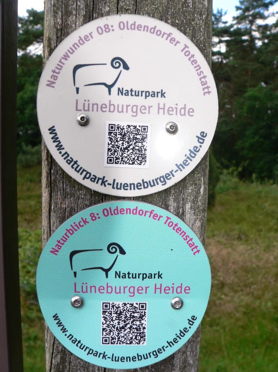 Amelinghausen16_2016-07-26 16-00-30.jpg