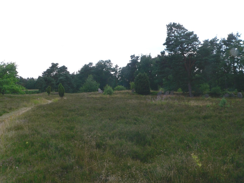 Amelinghausen16_2016-07-26 16-01-50.jpg