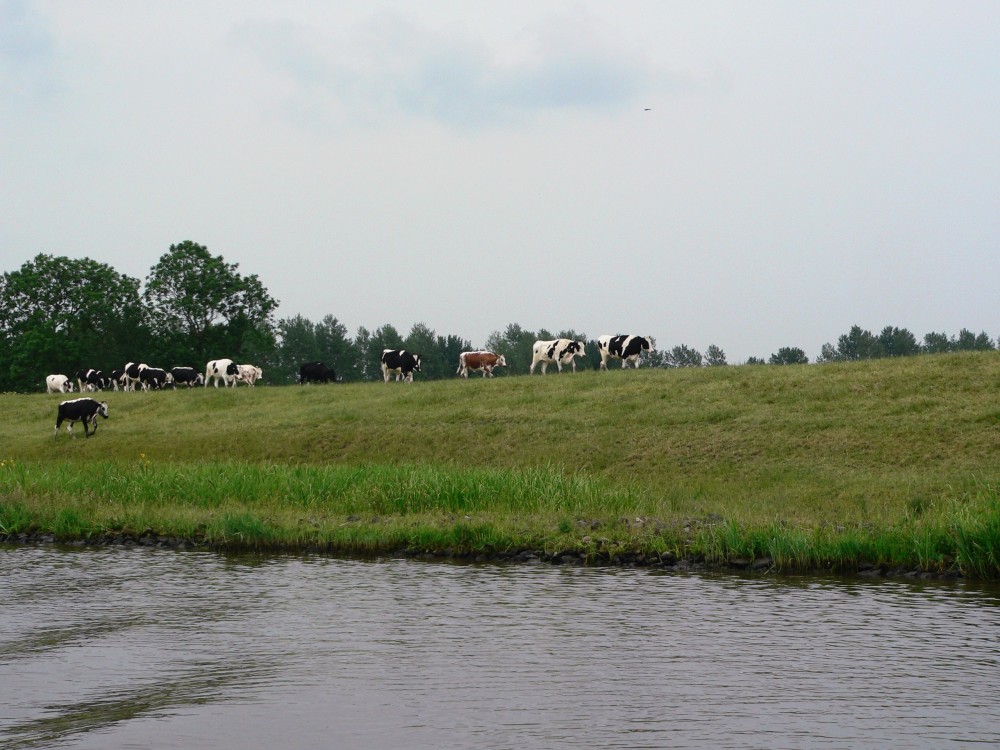 MY-Alabama_2016-06-12 12-36-23.jpg